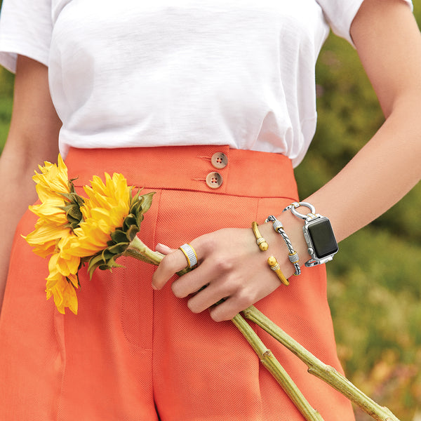 Brighton-Meridian Tempo Apple Watch Band